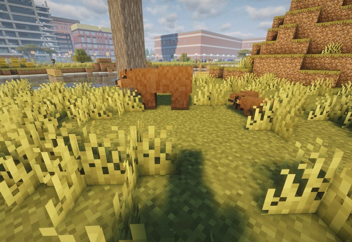 A brown bear and its cub in savanna grass at the edge of a city.